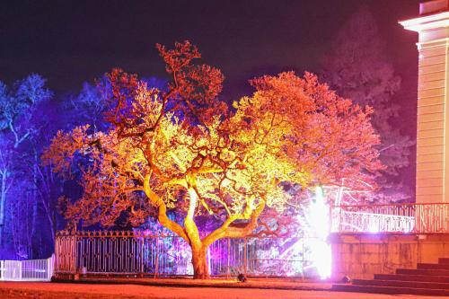 20231207 WeihnachtsWunderweltBenrath 0168