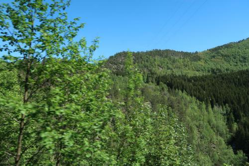 20240520 Bergensbanen 0093