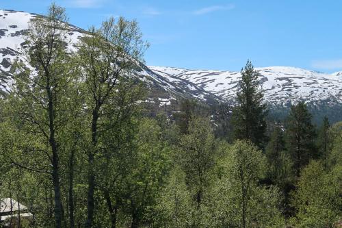 20240520 Bergensbanen 0101
