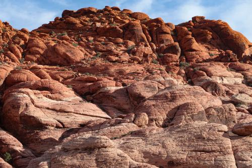 20231229 RedRockCanyon 0024