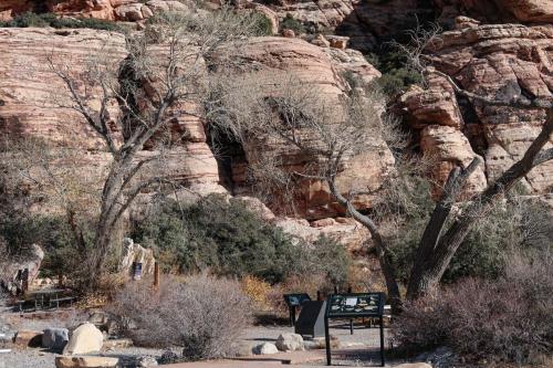 20231229 RedRockCanyon 0060