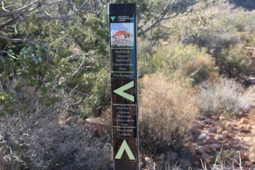 20231229 RedRockCanyon 0077