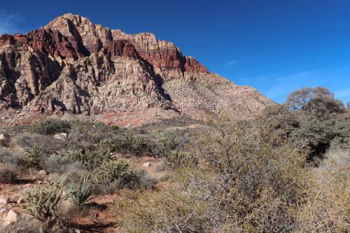 20231229 RedRockCanyon 0080
