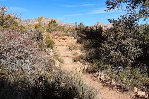20231229 RedRockCanyon 0086