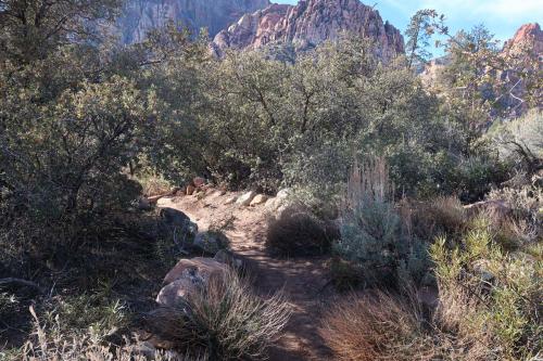 20231229 RedRockCanyon 0087