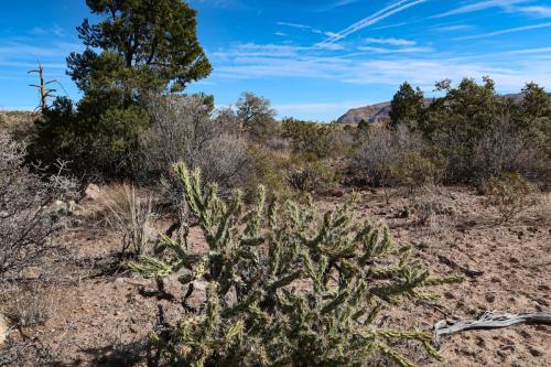 20231229 RedRockCanyon 0093